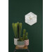 Nástenné hodiny KA5591WH, Karlsson, Marble Hexagon, 29cm Nástenné hodiny KA5591WH, Karlsson, Marble Hexagon, 29cm