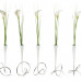 Vázička s kvetinou BLACK-BLUM Flower Loop