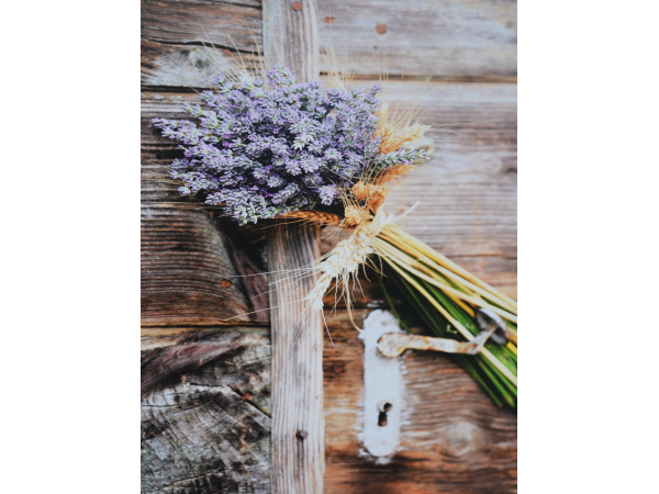 Obraz na plátne 75x100 Levandula, c1017 Obraz na plátne 75x100 Levandula, c1017