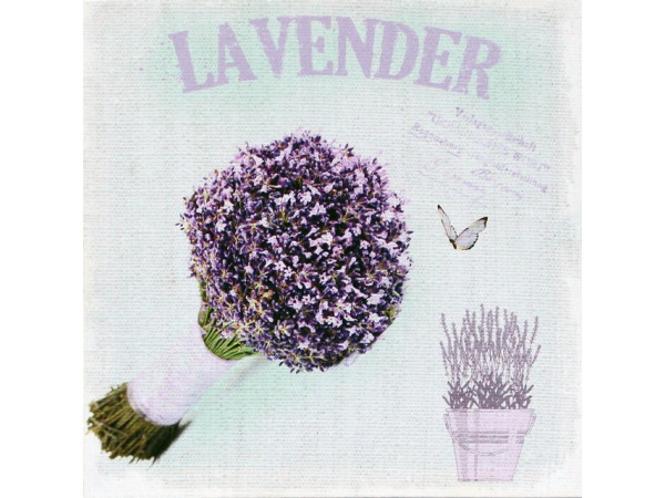 Obraz na plátne 28X28cm Levandula 4 Obraz na plátne 28X28cm Levandula 4