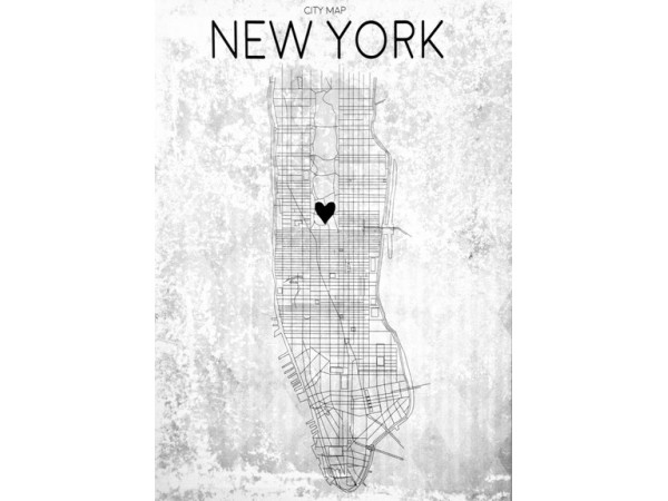 Obraz na plátne 50x70cm MAPA New York 2, c808
