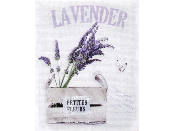 Obraz na plátne 40x50cm LEVANDULA 1 Obraz na plátne 40x50cm LEVANDULA 1