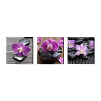 3-dielny obraz na plátne 3x20x20cm Zen stones and flowers šedo-f