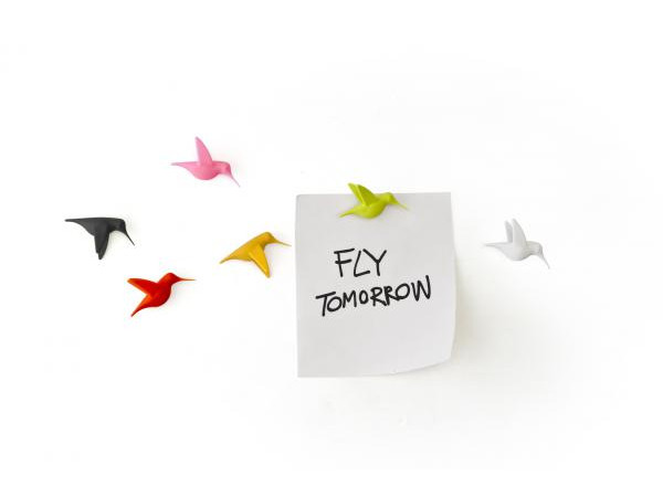 Magnety Qualy Humming Bird Message Magnety Qualy Humming Bird Message