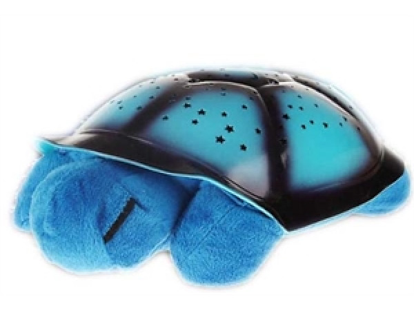 Nočná korytnačka modrá 2