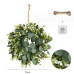 Girlanda na zavesenie na dvere Carles WSN06, 35cm eucalyptus Girlanda na zavesenie na dvere Carles WSN06, 35cm eucalyptus