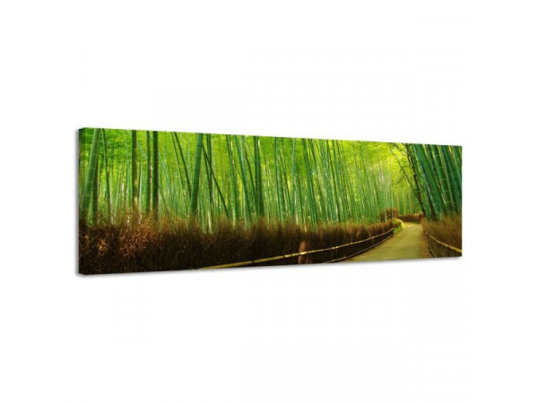 Obraz na plátne Panoráma, Bambus, 36x118cm