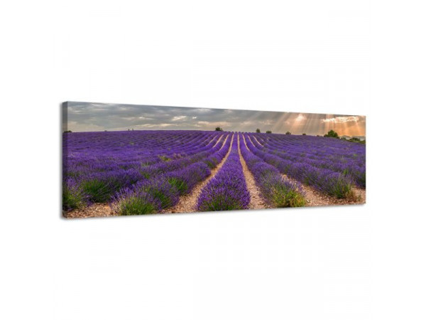 Obraz na plátne Panoráma, Levandule, 158x46cm Obraz na plátne Panoráma, Levandule, 158x46cm