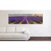 Obraz na plátne Panoráma, Levandule, 36x118cm