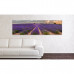 Obraz na plátne Panoráma, Levandule, 158x46cm Obraz na plátne Panoráma, Levandule, 158x46cm