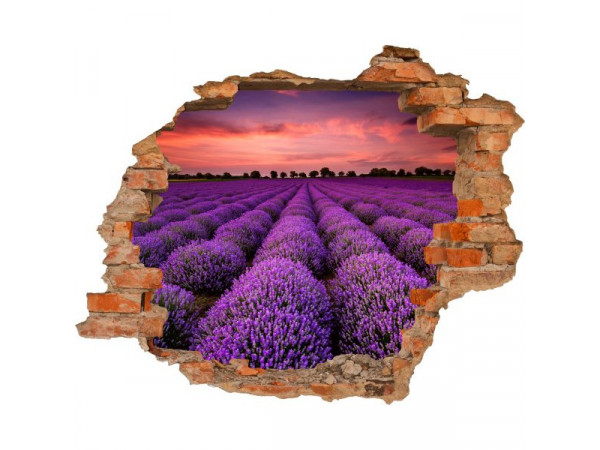 3D fototapeta, Levandule, 125 x100cm 3D fototapeta, Levandule, 125 x100cm