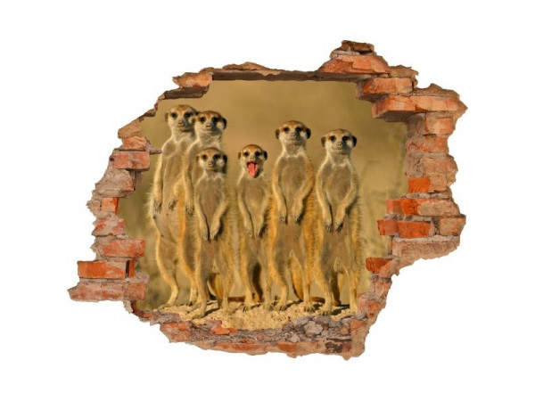 3D fototapeta, Surikaty, 125 x100cm 3D fototapeta, Surikaty, 125 x100cm