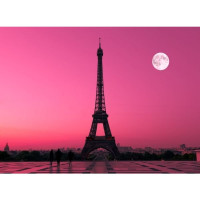 Fototapeta, Paríž, 315 x232cm Fototapeta, Paríž, 315 x232cm