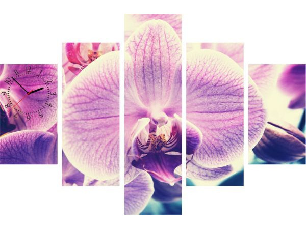 5-dielny obraz s hodinami, Orchidea ružová, 100x70cm
