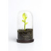 Dóza s lyžičkou Qualy Sprout Jar Dóza s lyžičkou Qualy Sprout Jar