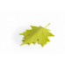 Dverný klin Qualy Autumn Door Stopper, zelený Dverný klin Qualy Autumn Door Stopper, zelený
