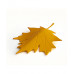 Dverný klin Qualy Autumn Door Stopper, žltý Dverný klin Qualy Autumn Door Stopper, žltý