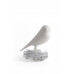 Miska na svorky Qualy Nest Sparrow, rôzne farby Miska na svorky Qualy Nest Sparrow, rôzne farby