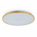 LED stropné svietidlo RD2638 L LED stropné svietidlo RD2638 L