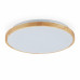 LED stropné svietidlo RD2638 M LED stropné svietidlo RD2638 M