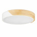LED stropné svietidlo RD4482, biela LED stropné svietidlo RD4482, biela