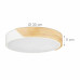 LED stropné svietidlo RD4482, biela LED stropné svietidlo RD4482, biela