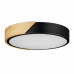 LED stropné svietidlo RD4482, čierna
