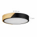 LED stropné svietidlo RD4482, čierna
