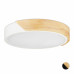 LED stropné svietidlo RD5170, biela LED stropné svietidlo RD5170, biela