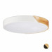 LED stropné svietidlo RD5171, biela LED stropné svietidlo RD5171, biela