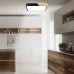 LED stropné svietidlo RD5172 LED stropné svietidlo RD5172