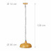Závesná lampa RD9219 Závesná lampa RD9219