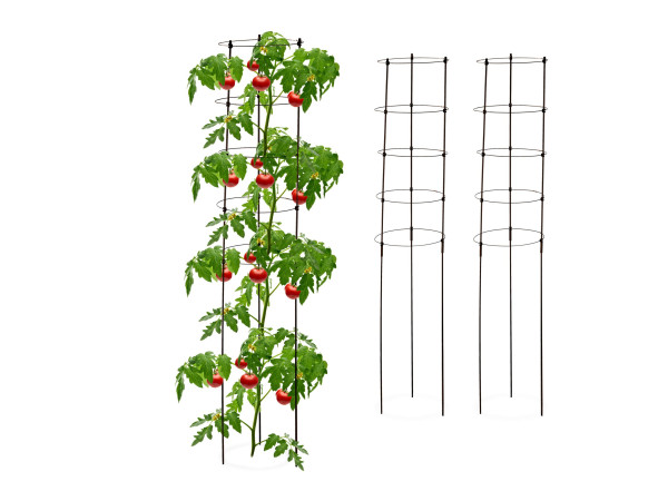 Podpera na rajčiny 3 ks, RD49281, 150cm Podpera na rajčiny 3 ks, RD49281, 150cm