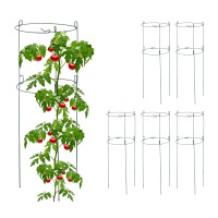 Podpera na rastliny 6ks 76cm, RD44640