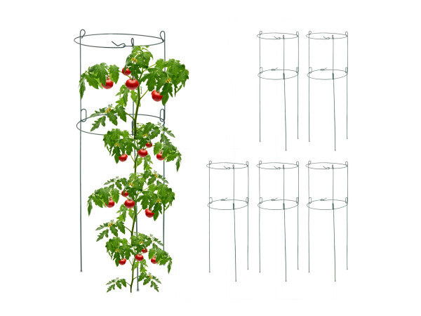 Podpera na rastliny 6ks 76cm, RD44640 Podpera na rastliny 6ks 76cm, RD44640