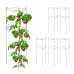 Podpera na rastliny 6ks 76cm, RD44640 Podpera na rastliny 6ks 76cm, RD44640