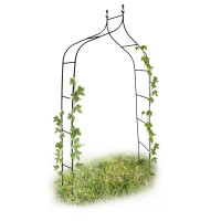 Podpera pre popínavé rastliny, RD17904
