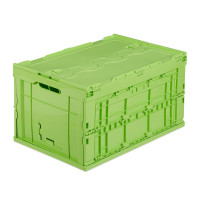 Prepravný skladací box RD22590, zelený 60 l