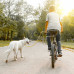 Cyklistické vodítko s rozperkou pre psov, RD18253