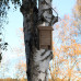 Drevená škatuľka na netopiere RD45937, hnedá Drevená škatuľka na netopiere RD45937, hnedá