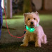 Polstrované vodítko pre psa 150cm RD45659 Polstrované vodítko pre psa 150cm RD45659