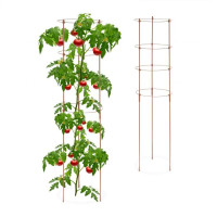 Podpera na rastliny 2ks 120cm hnedá, RD45124