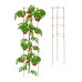 Podpera na rastliny 2ks 120cm hnedá, RD45124 Podpera na rastliny 2ks 120cm hnedá, RD45124